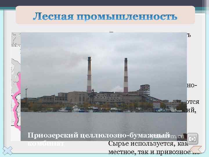 Лесная промышленность представлена всеми стадиями: заготовка, лесопиление, деревообработка. Крупнейшими комбинатами целлюлознобумажной промышленности являются Светлогорский,