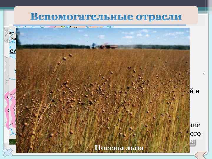 ТЭКСельское хозяйство района ориентируется на Урожай с пригородных хозяйств привозное топливо. Район района Топливно.