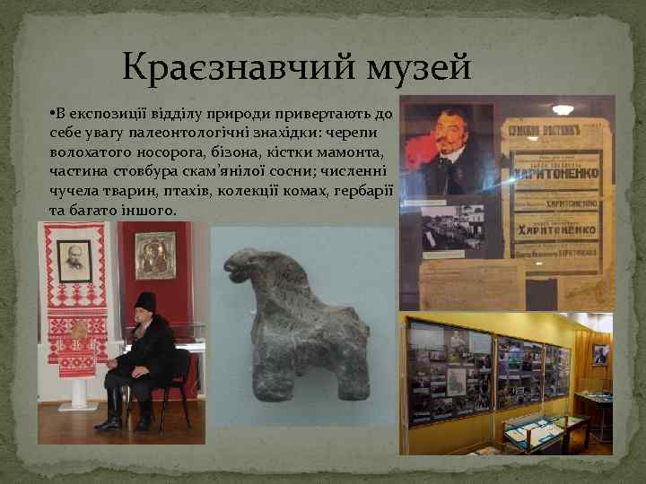 Краєзнавчий музей • В експозиції відділу природи привертають до себе увагу палеонтологічні знахідки: черепи