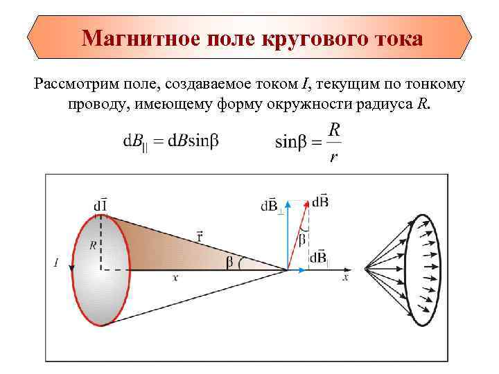  Магнитное поле кругового тока Рассмотрим поле, создаваемое током I, текущим по тонкому проводу,