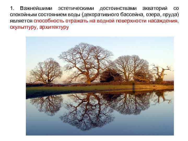 1. Важнейшими эстетическими достоинствами акваторий со спокойным состоянием воды (декоративного бассейна, озера, пруда) является