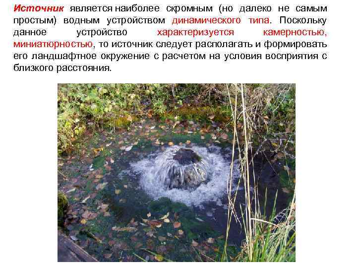 Источник является наиболее скромным (но далеко не самым простым) водным устройством динамического типа. Поскольку