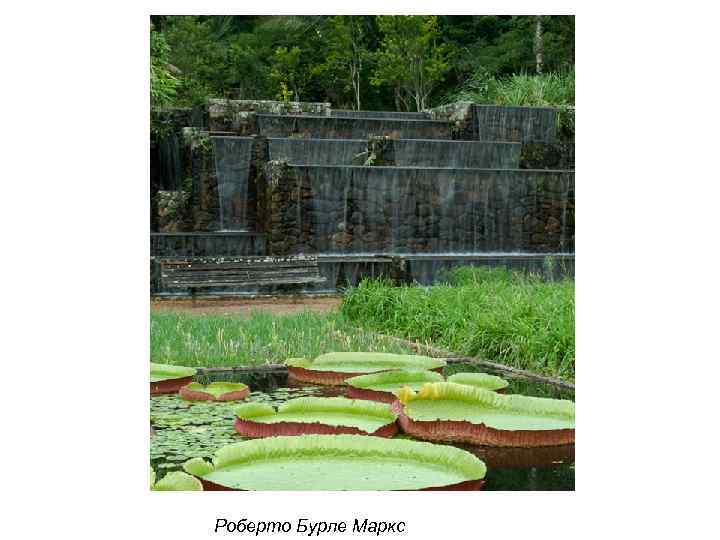 Роберто Бурле Маркс 