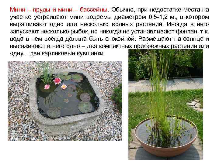 Мини – пруды и мини – бассейны. Обычно, при недостатке места на участке устраивают