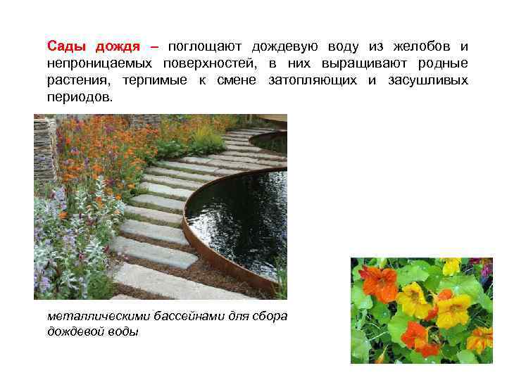 Сады дождя – поглощают дождевую воду из желобов и непроницаемых поверхностей, в них выращивают