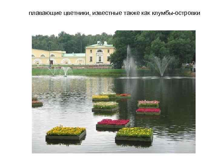 плавающие цветники, известные также как клумбы-островки 