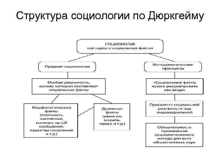 Структура социологии по Дюркгейму 
