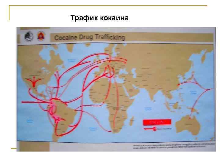 Трафик кокаина 