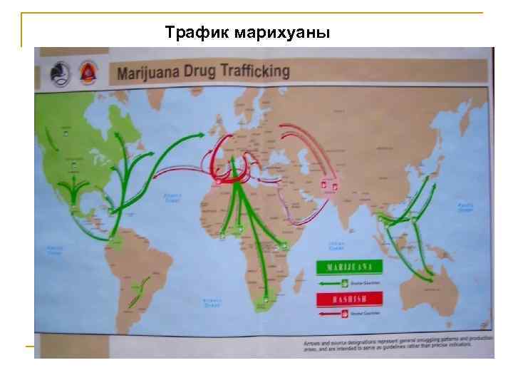Трафик марихуаны 
