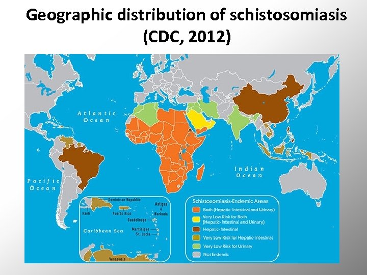 Geographic distribution of schistosomiasis (CDC, 2012) 