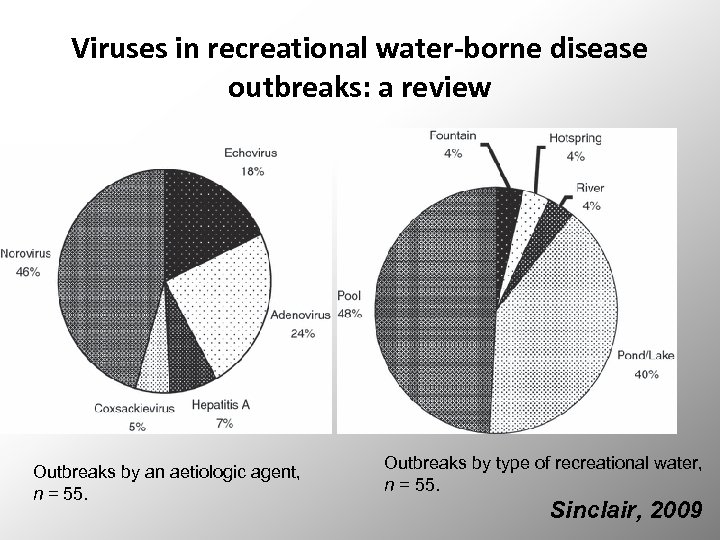 Viruses in recreational water‐borne disease outbreaks: a review Outbreaks by an aetiologic agent, n