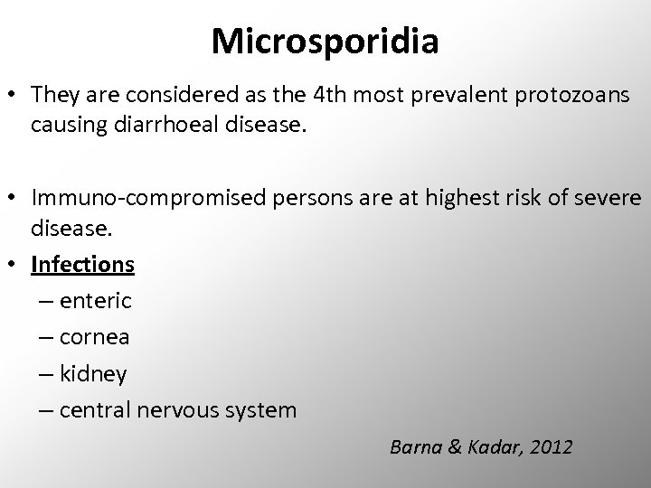 Microsporidia • They are considered as the 4 th most prevalent protozoans causing diarrhoeal