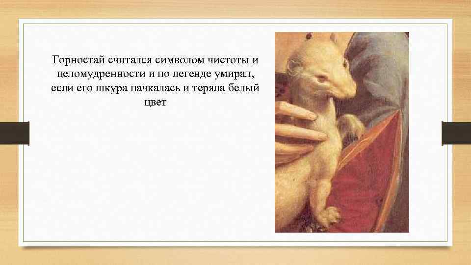 Горностай считался символом чистоты и целомудренности и по легенде умирал, если его шкура пачкалась