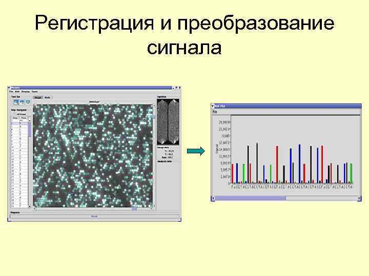 Регистрация и преобразование сигнала 