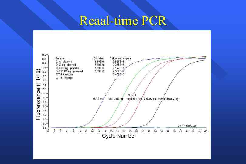 Reaal-time PCR 