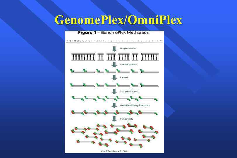 Genome. Plex/Omni. Plex 