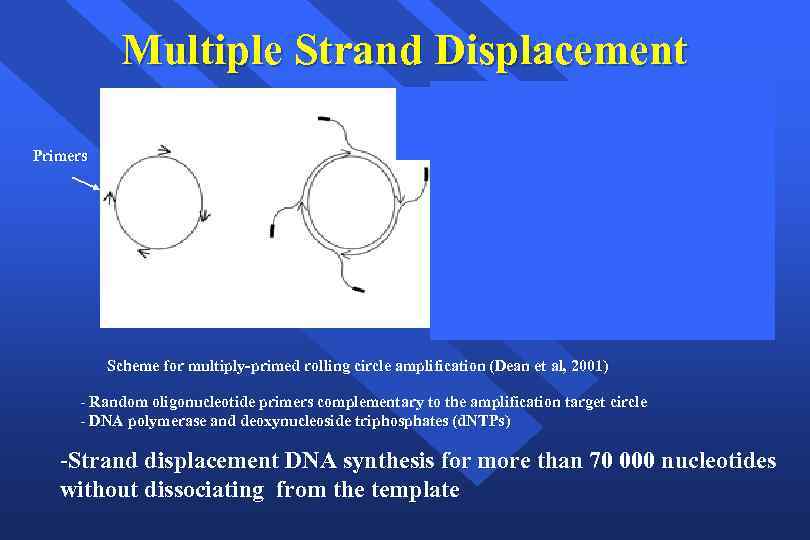 Multiple Strand Displacement Primers Scheme for multiply-primed rolling circle amplification (Dean et al, 2001)