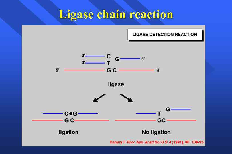 Ligase chain reaction 