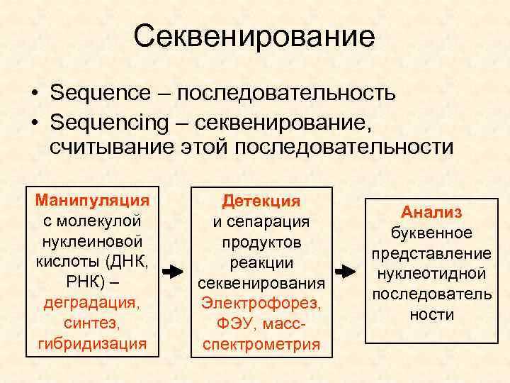 Секвенирование • Sequence – последовательность • Sequencing – секвенирование, считывание этой последовательности Манипуляция с