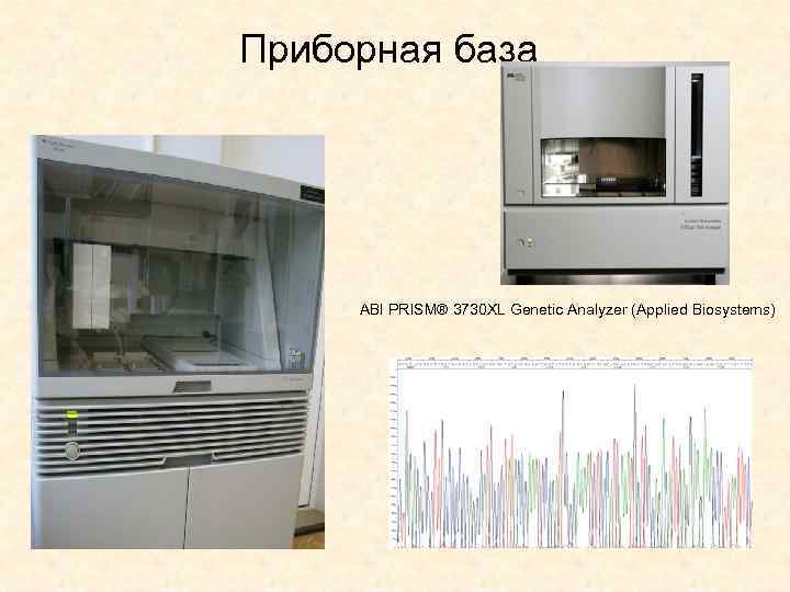 Приборная база ABI PRISM® 3730 XL Genetic Analyzer (Applied Biosystems) 