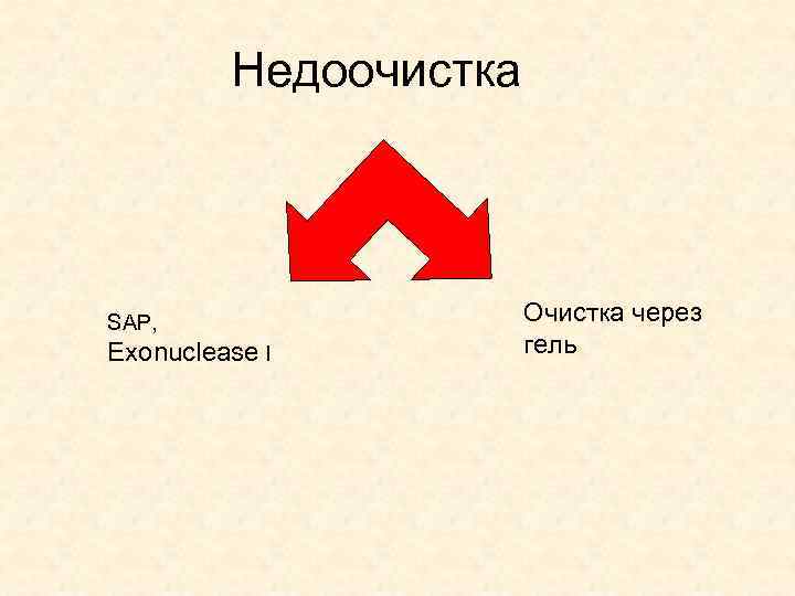 Недоочистка SAP, Exonuclease I Очистка через гель 