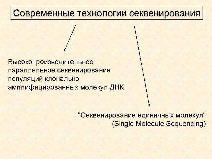 Современные технологии секвенирования Высокопроизводительное параллельное секвенирование популяций клонально амплифицированных молекул ДНК 