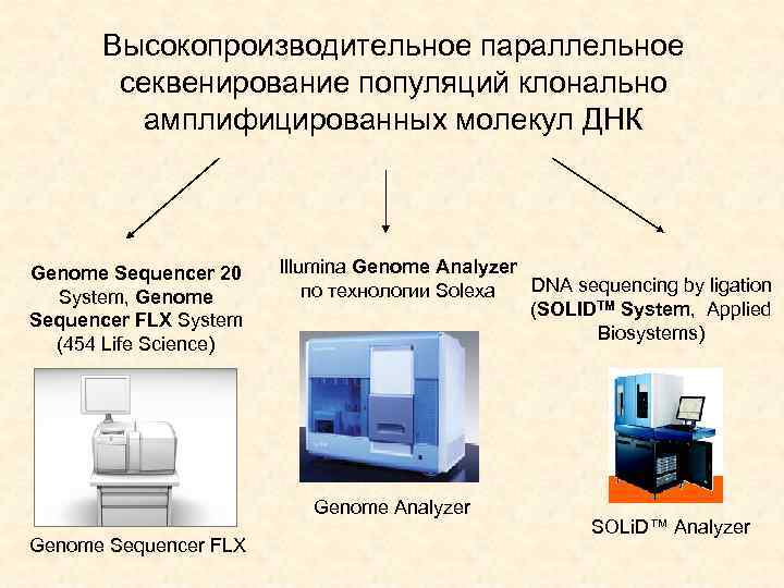 Высокопроизводительное параллельное секвенирование популяций клонально амплифицированных молекул ДНК Genome Sequencer 20 System, Genome Sequencer