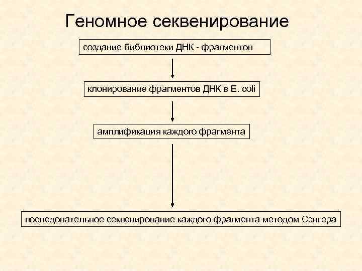 Геномное секвенирование создание библиотеки ДНК - фрагментов клонирование фрагментов ДНК в E. сoli амплификация