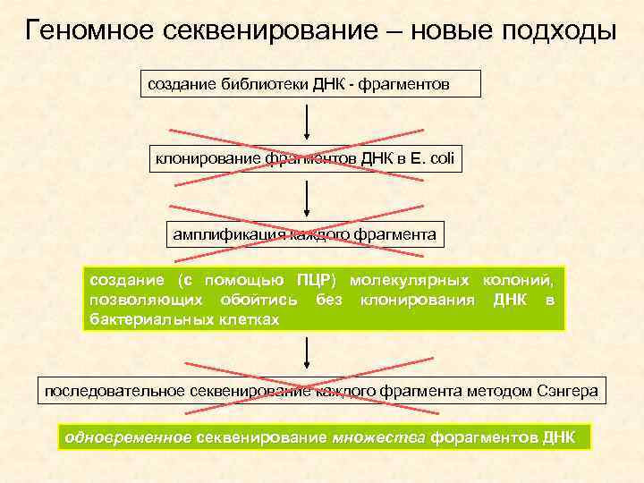 Геномное секвенирование – новые подходы создание библиотеки ДНК - фрагментов клонирование фрагментов ДНК в