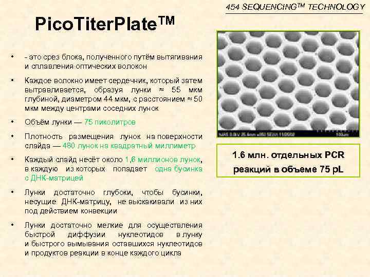 454 SEQUENCINGTM TECHNOLOGY Pico. Titer. Plate. TM • - это срез блока, полученного путём