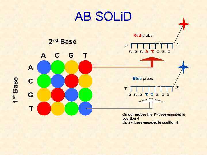 АВ SOLi. D Red-probe 2 nd Base A C G 5’ 3’ n n