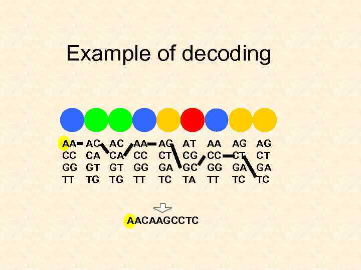 Example of decoding AA CC GG TT AC CA GT TG AA CC GG