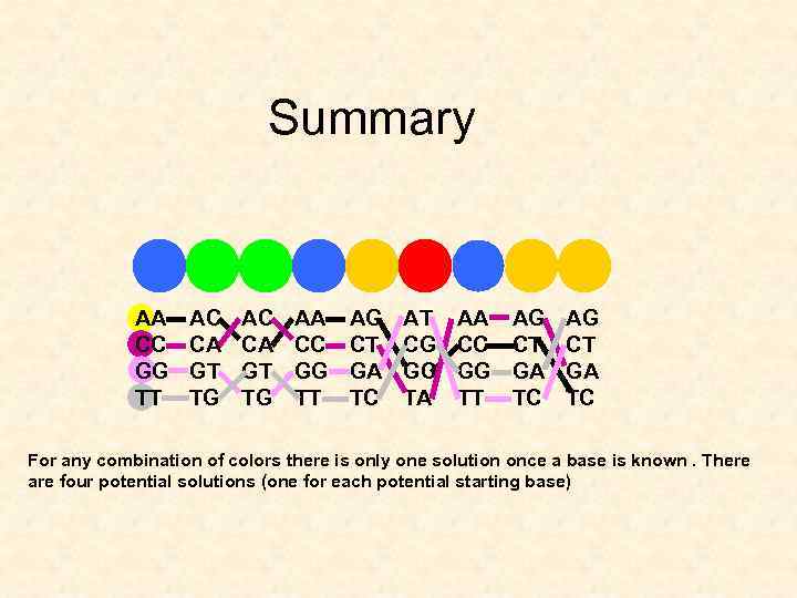 Summary AA CC GG TT AC CA GT TG AA CC GG TT AG