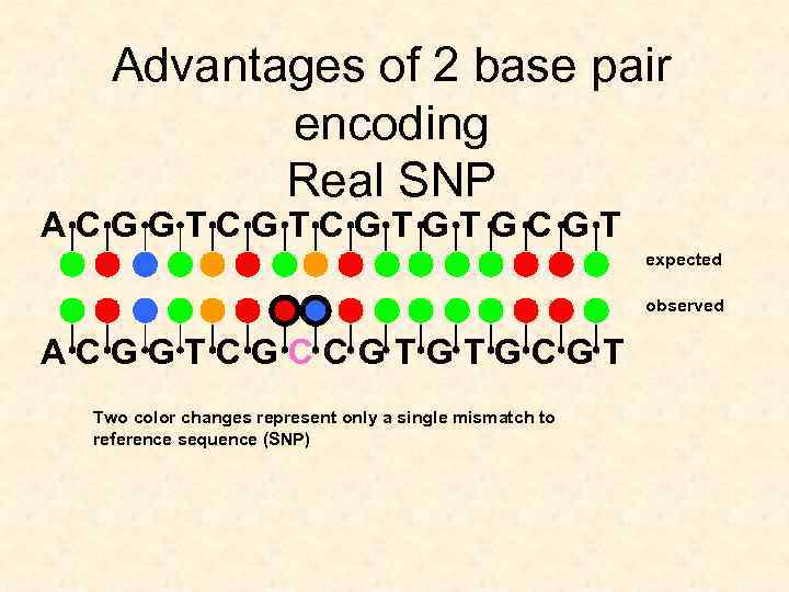Advantages of 2 base pair encoding Real SNP A C G G T C