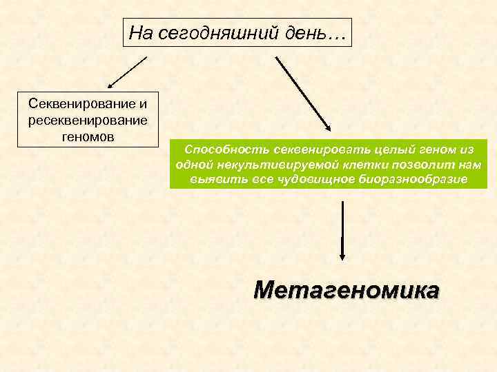 На сегодняшний день… Секвенирование и ресеквенирование геномов Способность секвенировать целый геном из одной некультивируемой