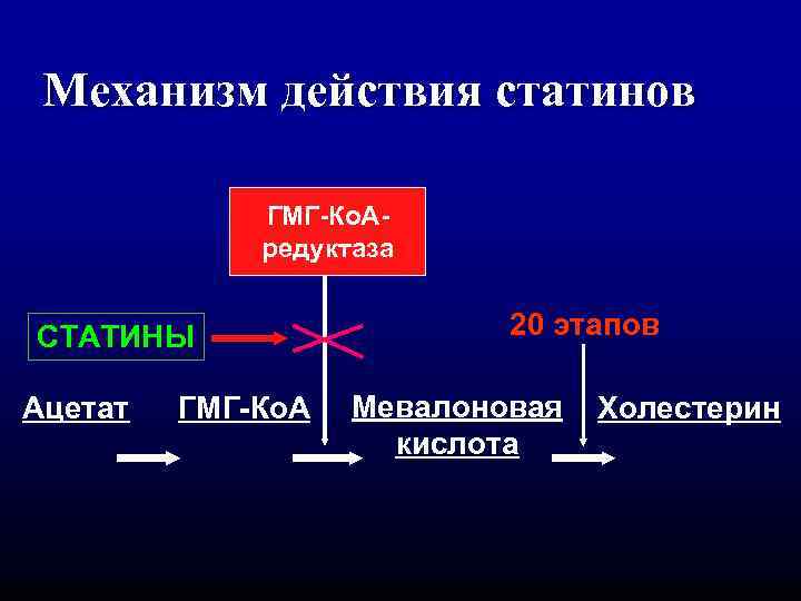 Механизм действия статинов ГМГ-Ко. Аредуктаза СТАТИНЫ Ацетат ГМГ-Ко. А 20 этапов Мевалоновая кислота Холестерин