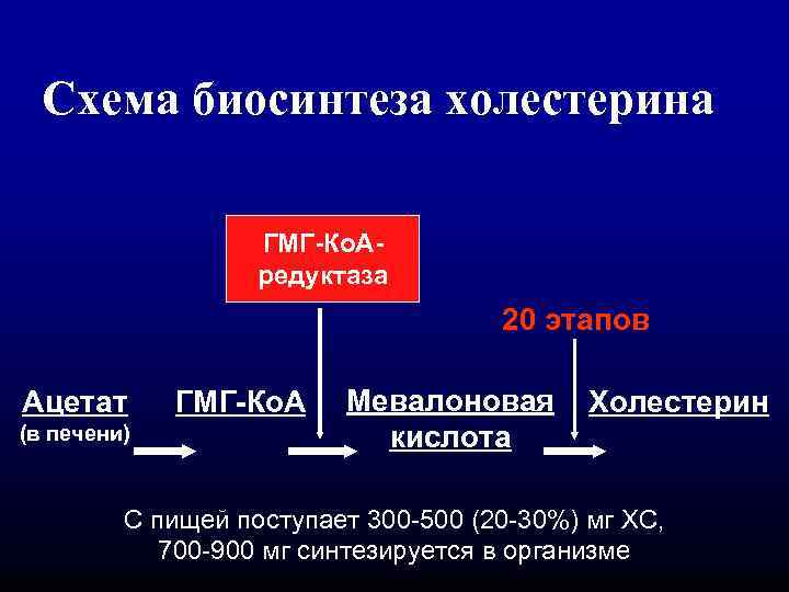 Схема биосинтеза холестерина ГМГ-Ко. Аредуктаза 20 этапов Ацетат (в печени) ГМГ-Ко. А Мевалоновая кислота