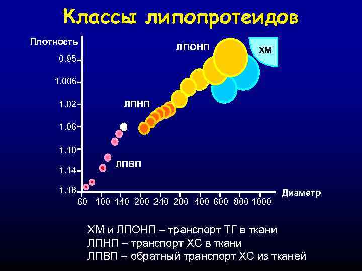 Классы липопротеидов Плотность ЛПОНП 0. 95 ХМ 1. 006 1. 02 ЛПНП 1. 06