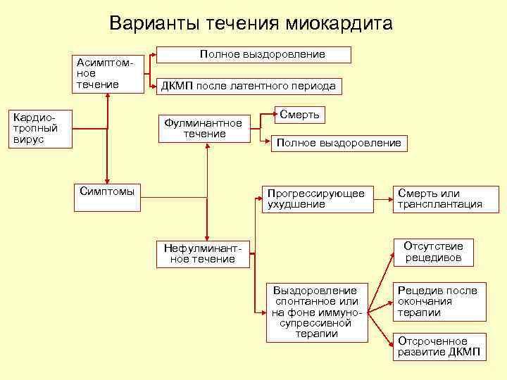 Варианты течения миокардита Асимптомное течение Кардиотропный вирус Полное выздоровление ДКМП после латентного периода Фулминантное