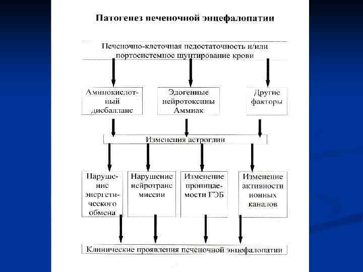 Печеночная энцефалопатия симптомы