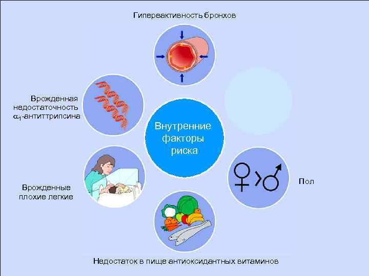 Гипереактивность бронхов Врожденная недостаточность 1 -антиттрипсина Внутренние факторы риска Пол Врожденные плохие легкие Недостаток