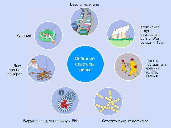 Выхлопные газы Загрязнение воздуха промышленностью: SO 2, частицы < 10 m Курение Дым лесных