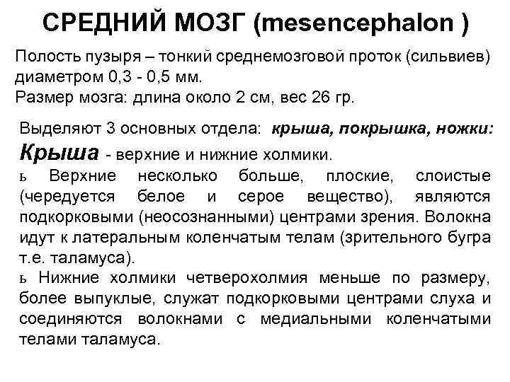 СРЕДНИЙ МОЗГ (mesencephalon ) Полость пузыря – тонкий среднемозговой проток (сильвиев) диаметром 0, 3