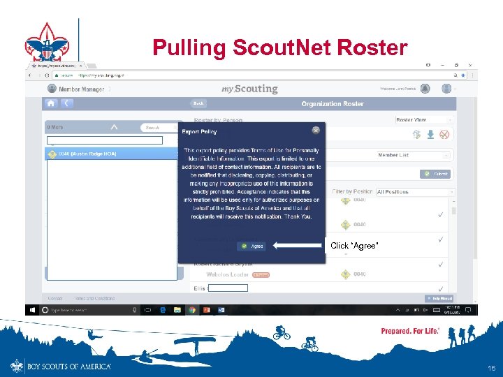 Pulling Scout. Net Roster Click “Agree” 15 