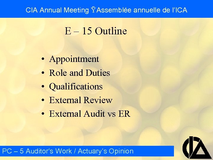 CIA Annual Meeting Ÿ Assemblée annuelle de l’ICA E – 15 Outline • •