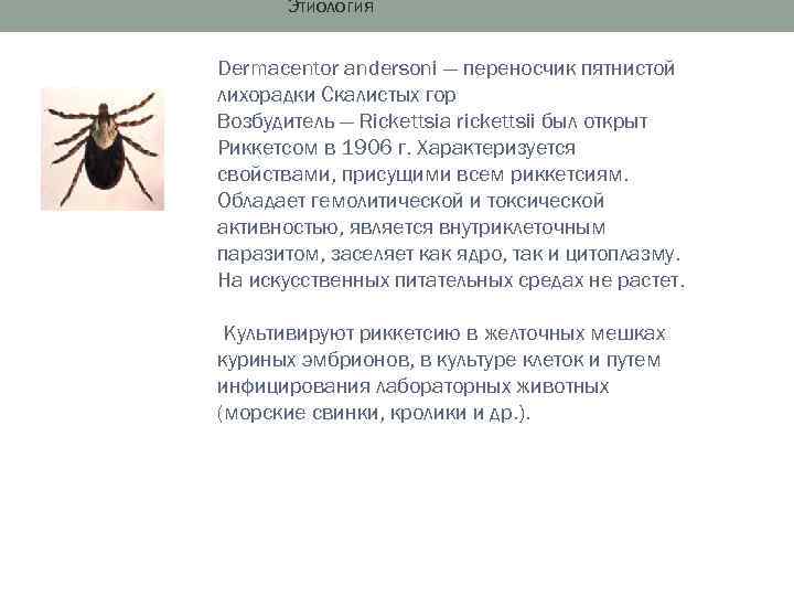 Этиология Dermacentor andersoni — переносчик пятнистой лихорадки Скалистых гор Возбудитель — Rickettsia rickettsii был