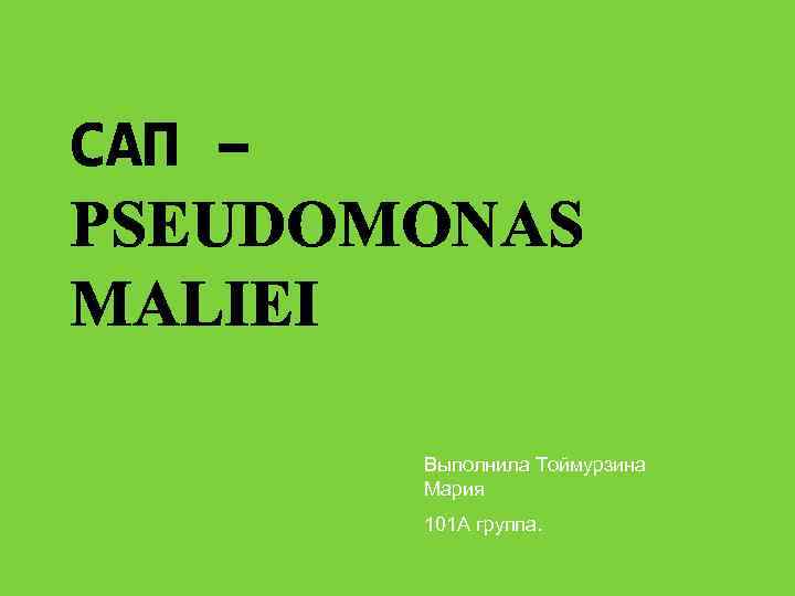 САП – PSEUDOMONAS MALIEI Выполнила Тоймурзина Мария 101 А группа. 