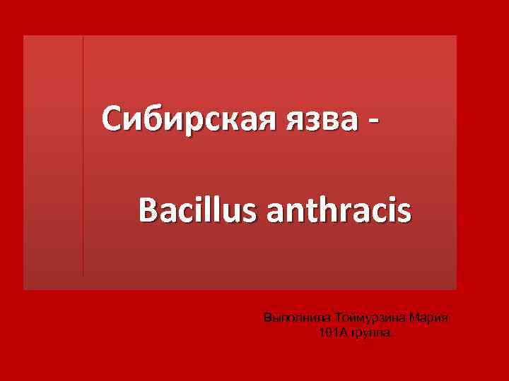 Сибирская язва - Bacillus anthracis Выполнила Тоймурзина Мария 101 А группа. 