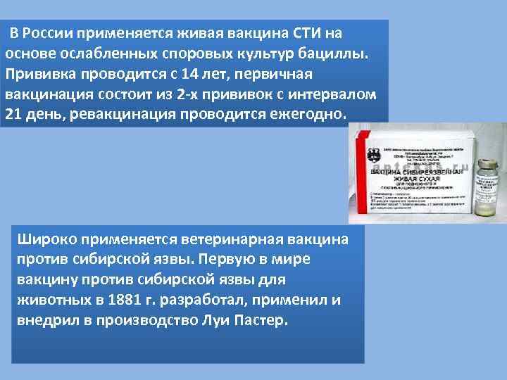 Вакцина против сибирской язвы внииввим 55. Вакцина сибиреязвенная Живая.