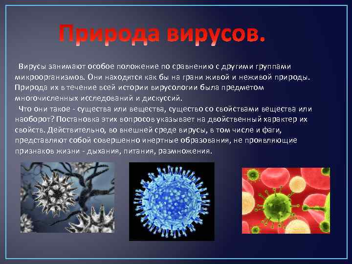 Вирусов в природе и жизни человека. Вирусы природа вирусов. Концепция о природе вирусов.. Вирусы, их природа, происхождение.